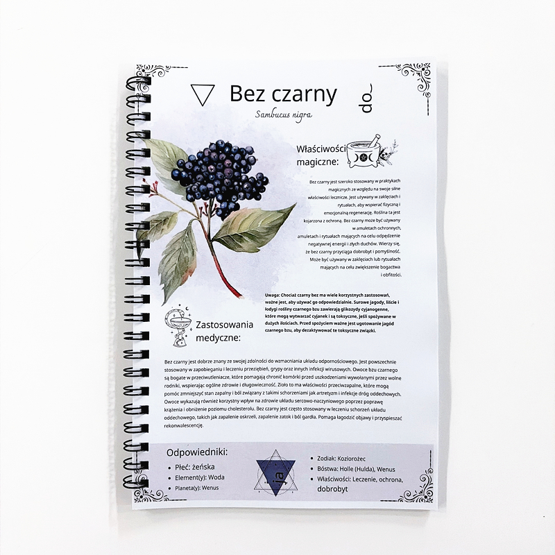 The Lost Book of Herbal Remedi - مراجعة Herbal Wellness وسعره