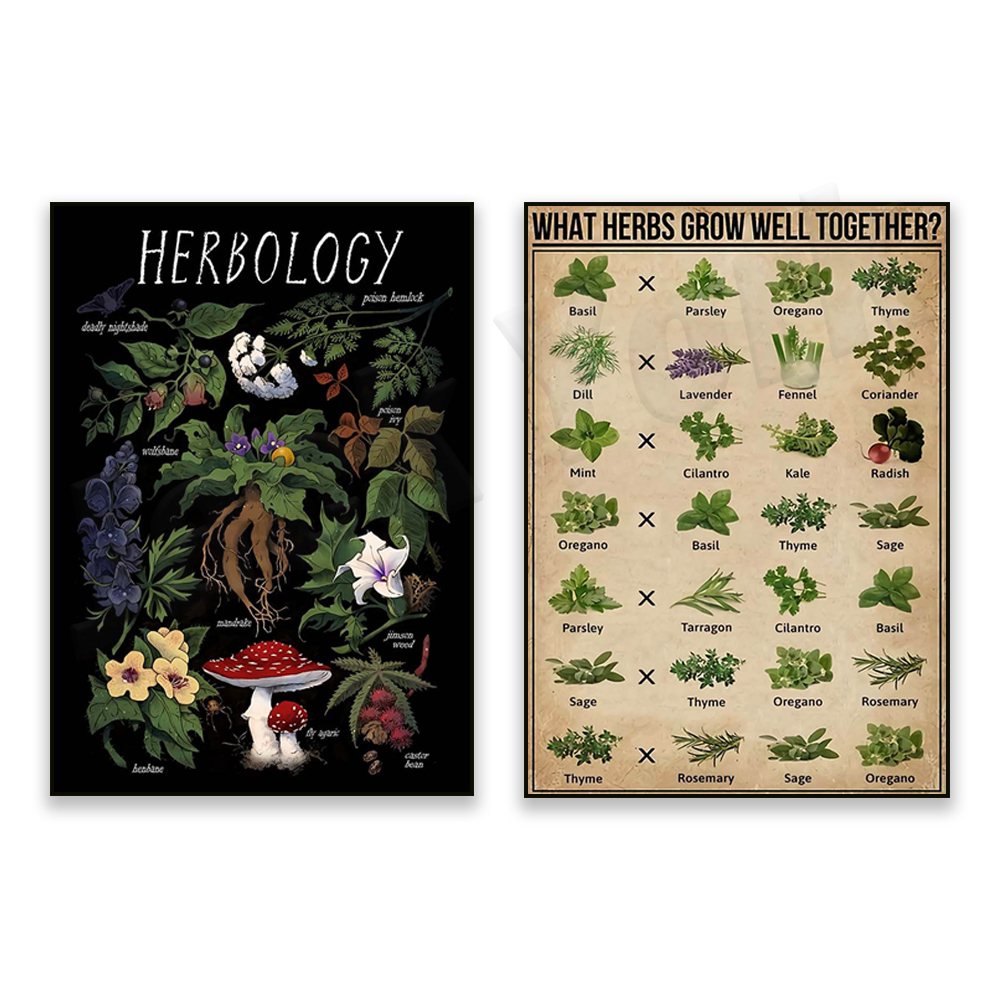What herbs grow well together? - مراجعة Herbal Gardens Wellness وسعره