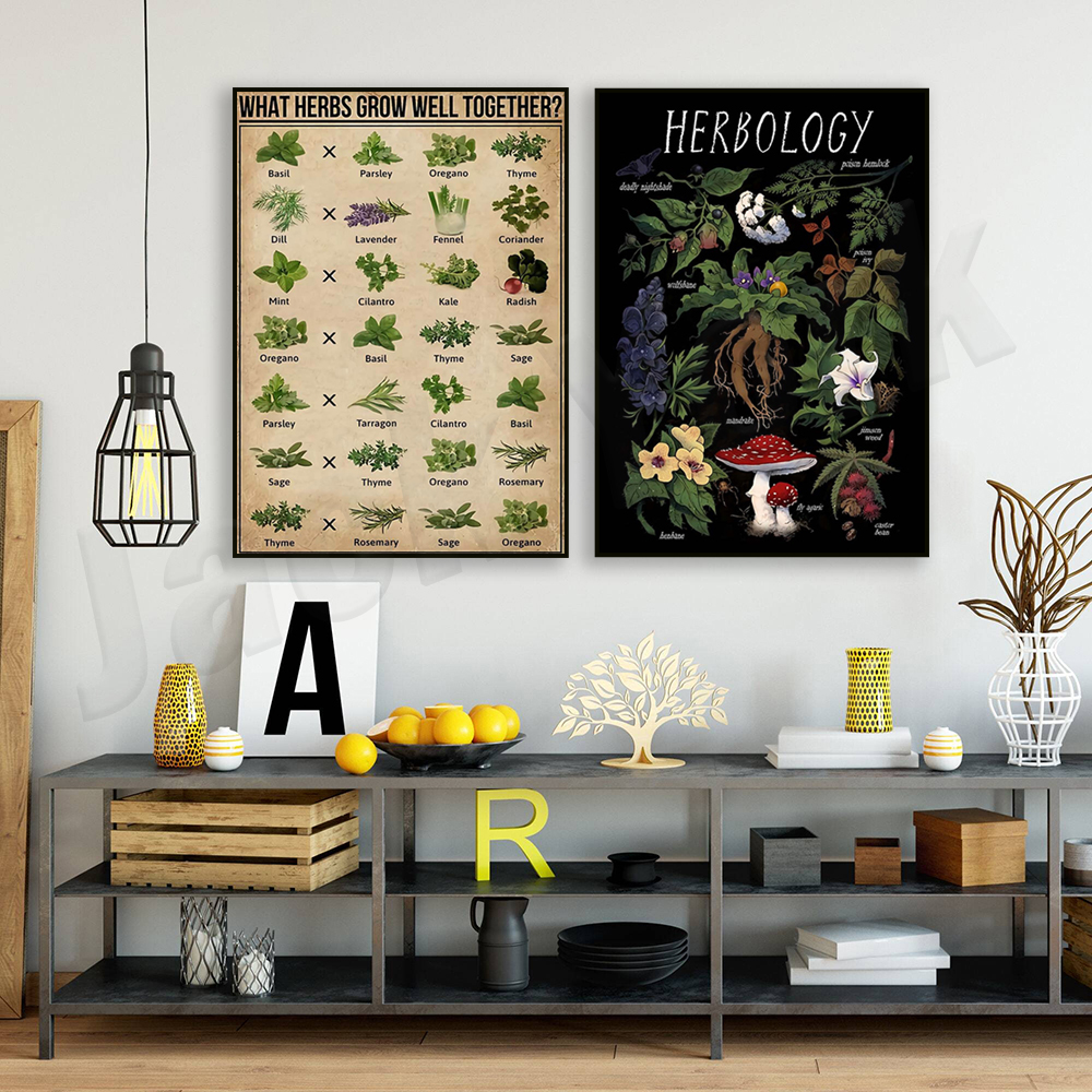 What herbs grow well together? - مراجعة Herbal Gardens Wellness وسعره