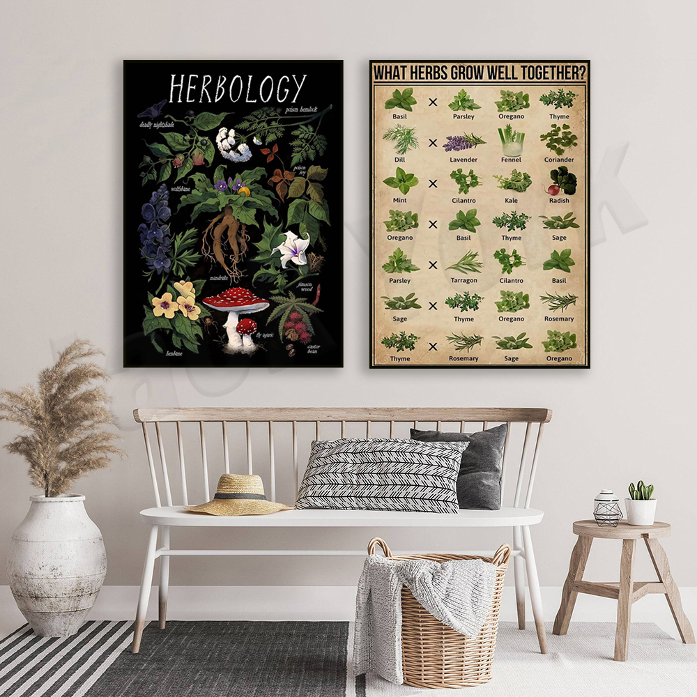 What herbs grow well together? - مراجعة Herbal Gardens Wellness وسعره