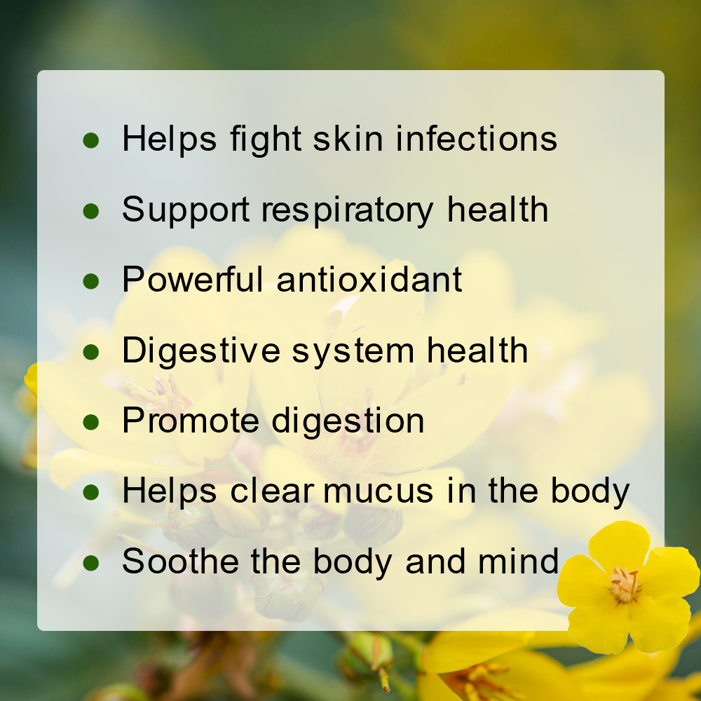 Herbal Tea for Respiratory Sup - مراجعة Herbal Wellness وسعره